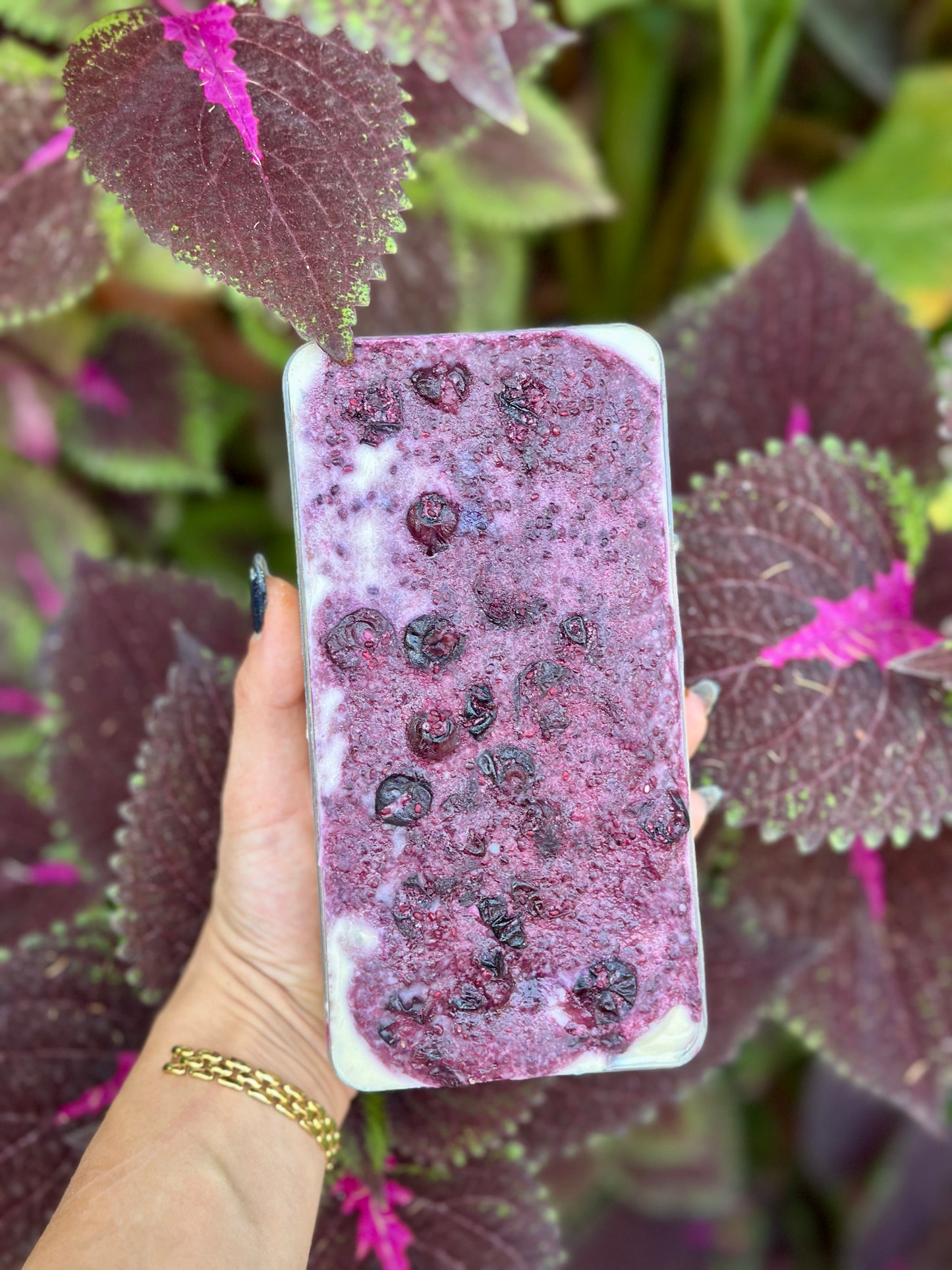 עוגת פס אוכמניות