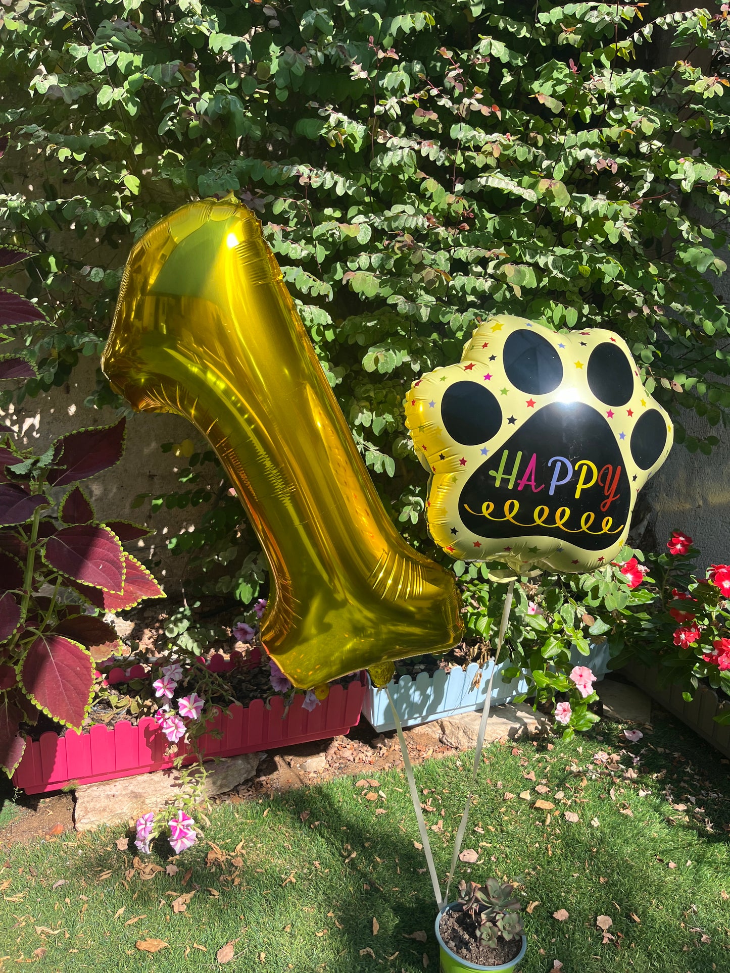 סט זוג בלונים - ספרה ופאו פרינטס