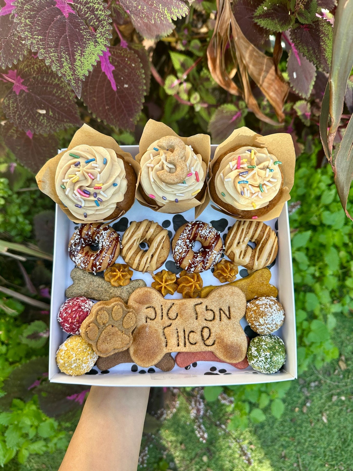 מארז יום הולדת בסיסי