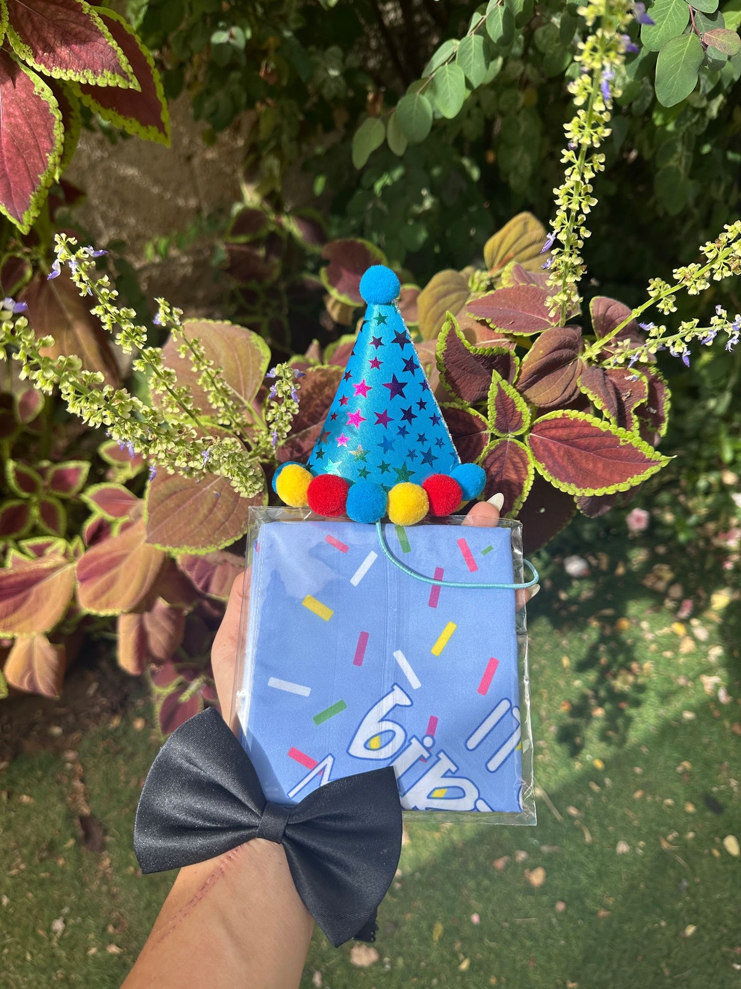 פפיונים \ בנדננות \ כובעי יום הולדת