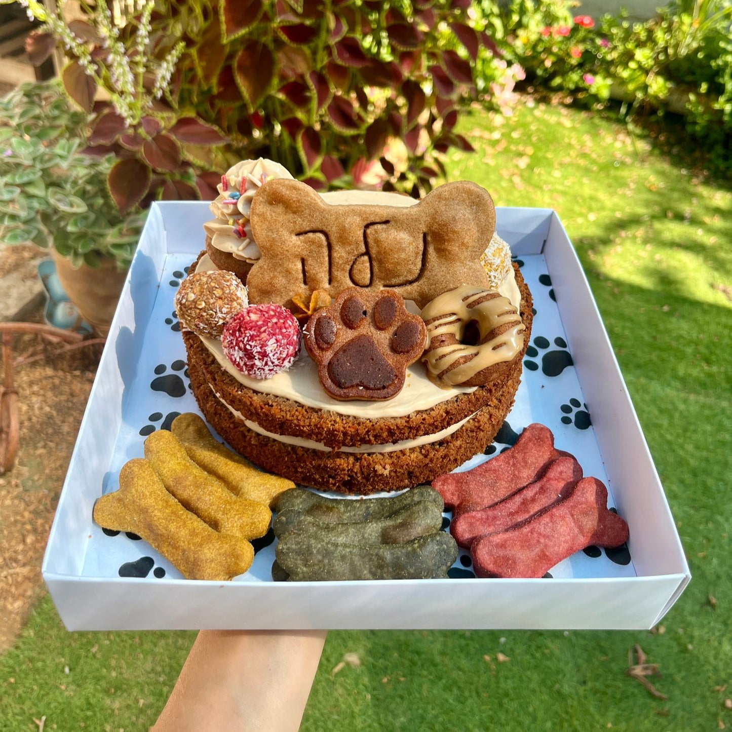 עוגת "כל הפינוקים" הקטנה