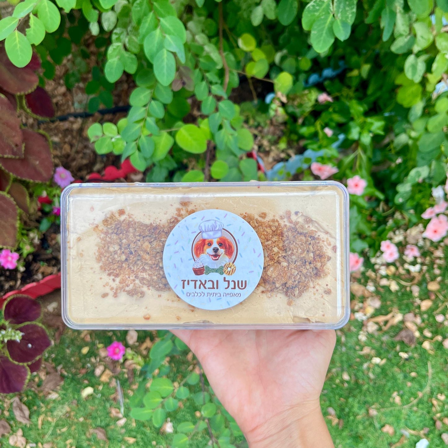 עוגת פס שיבולת שועל ורוטב קרמל