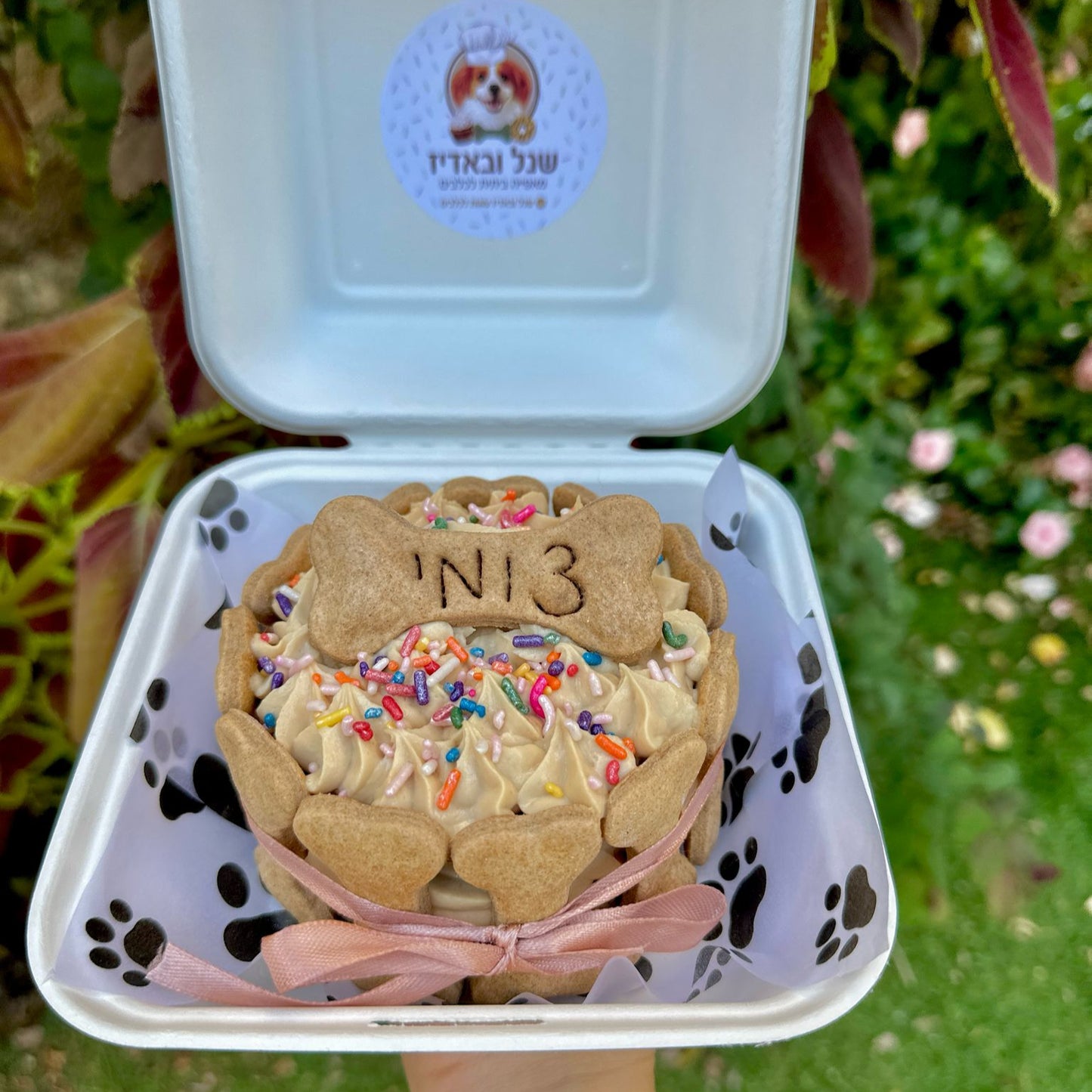 עוגת בנדוג - בנטו לכלבים