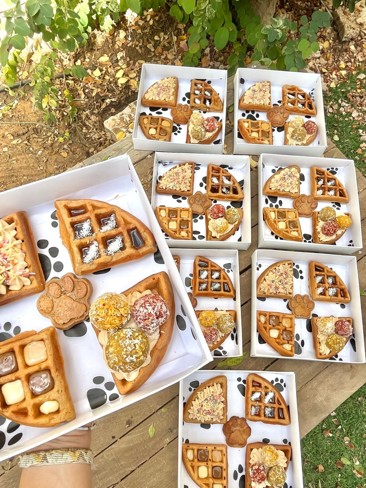 מארז וופל בלגי לכלבים