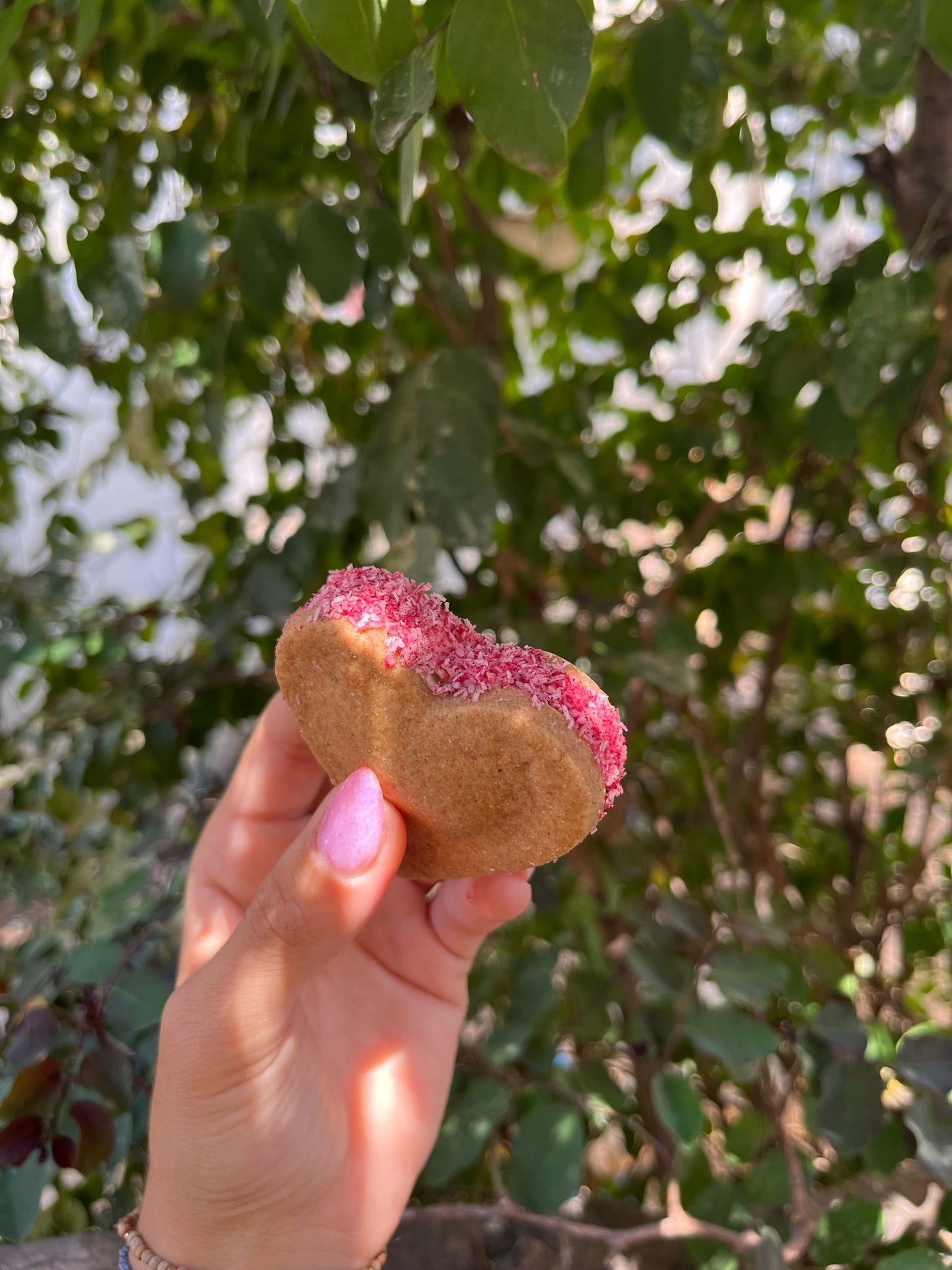 מארז קוקילידות לכלבים