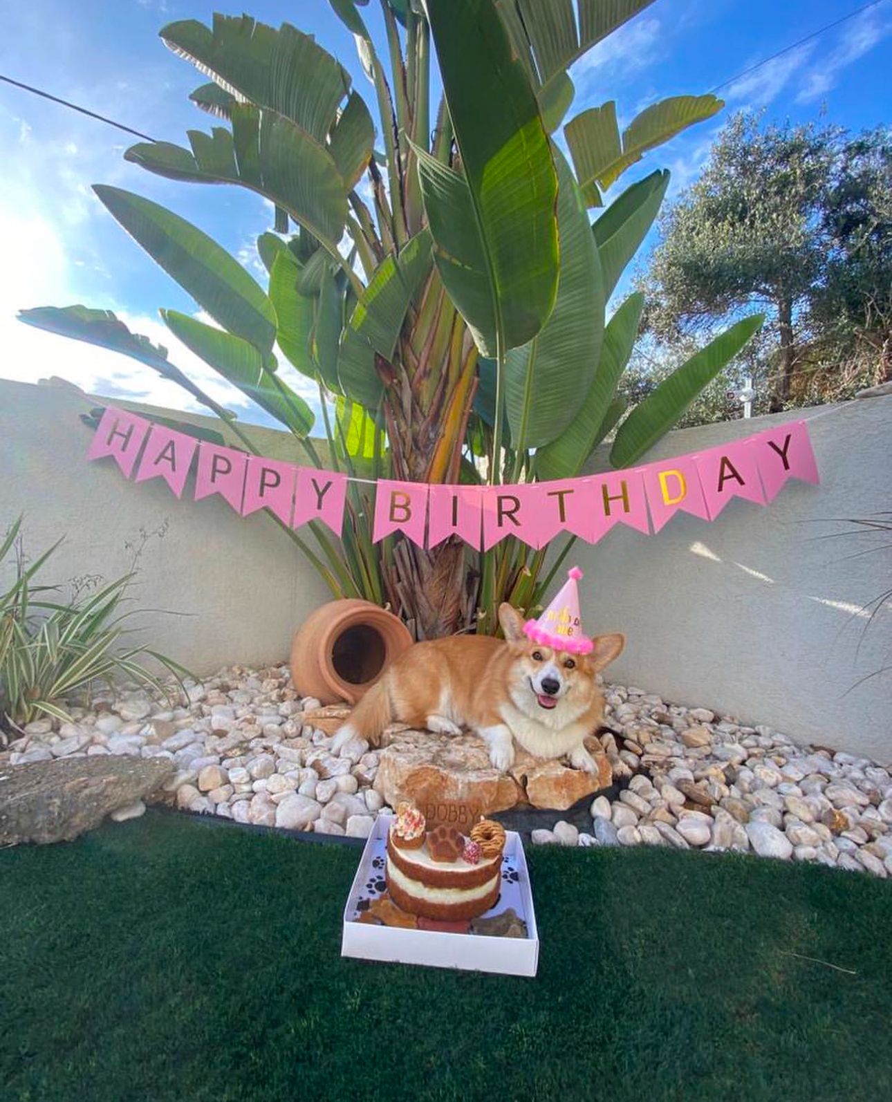 שלט HAPPY BIRTHDAY עם פאו פרינטס