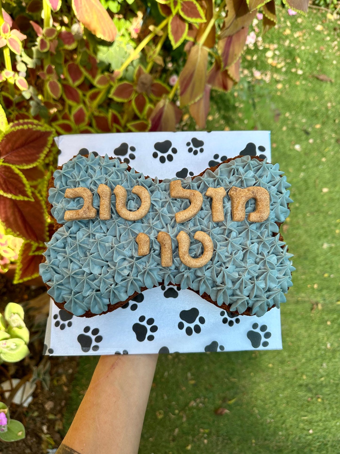 עוגת העצם הקלאסית
