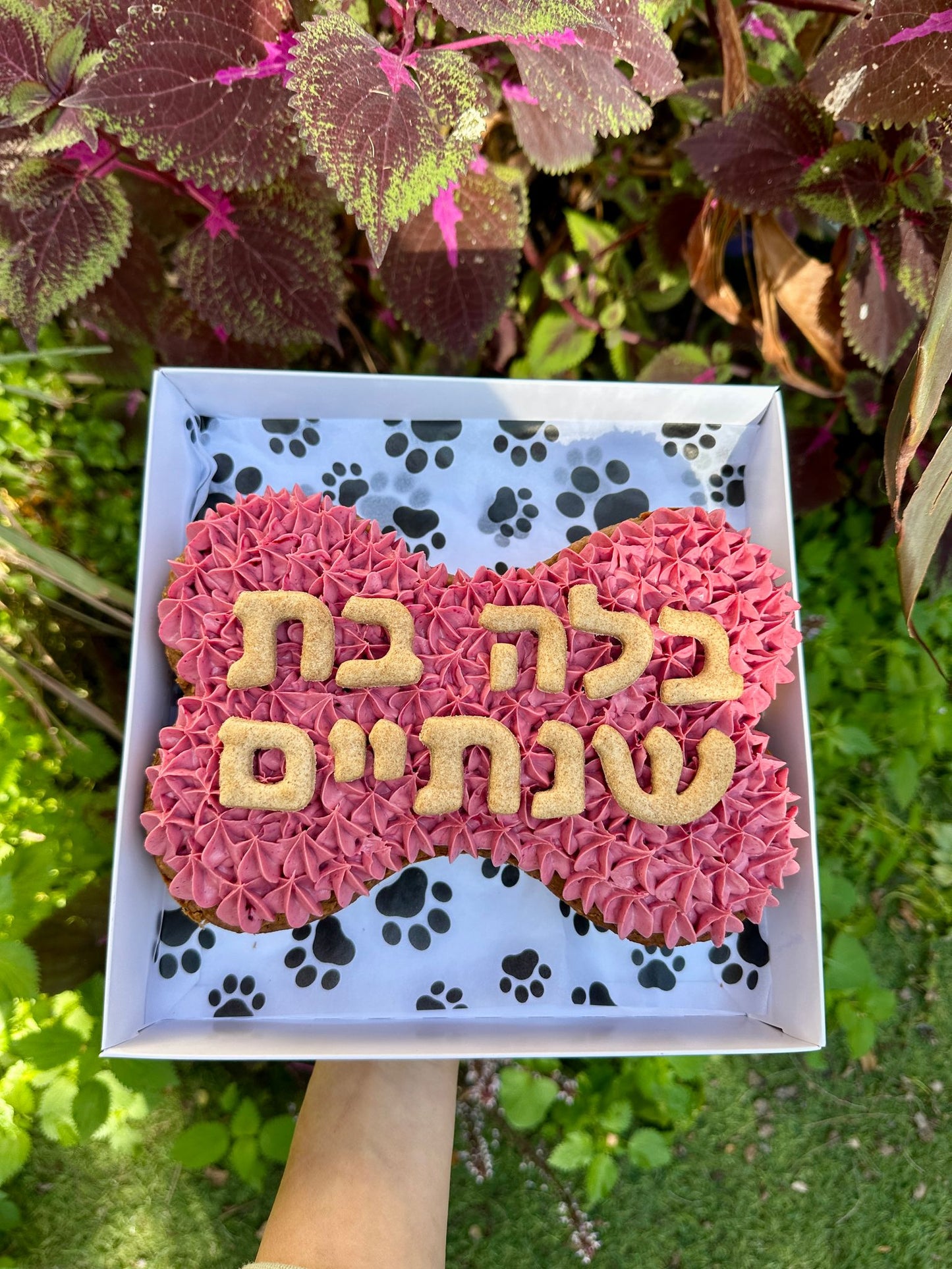 עוגת העצם הקלאסית